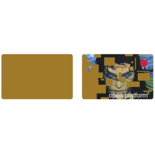 Schlüsselkarte Goldwafer Smartcard Goldcard Funcard Prozessorkarte